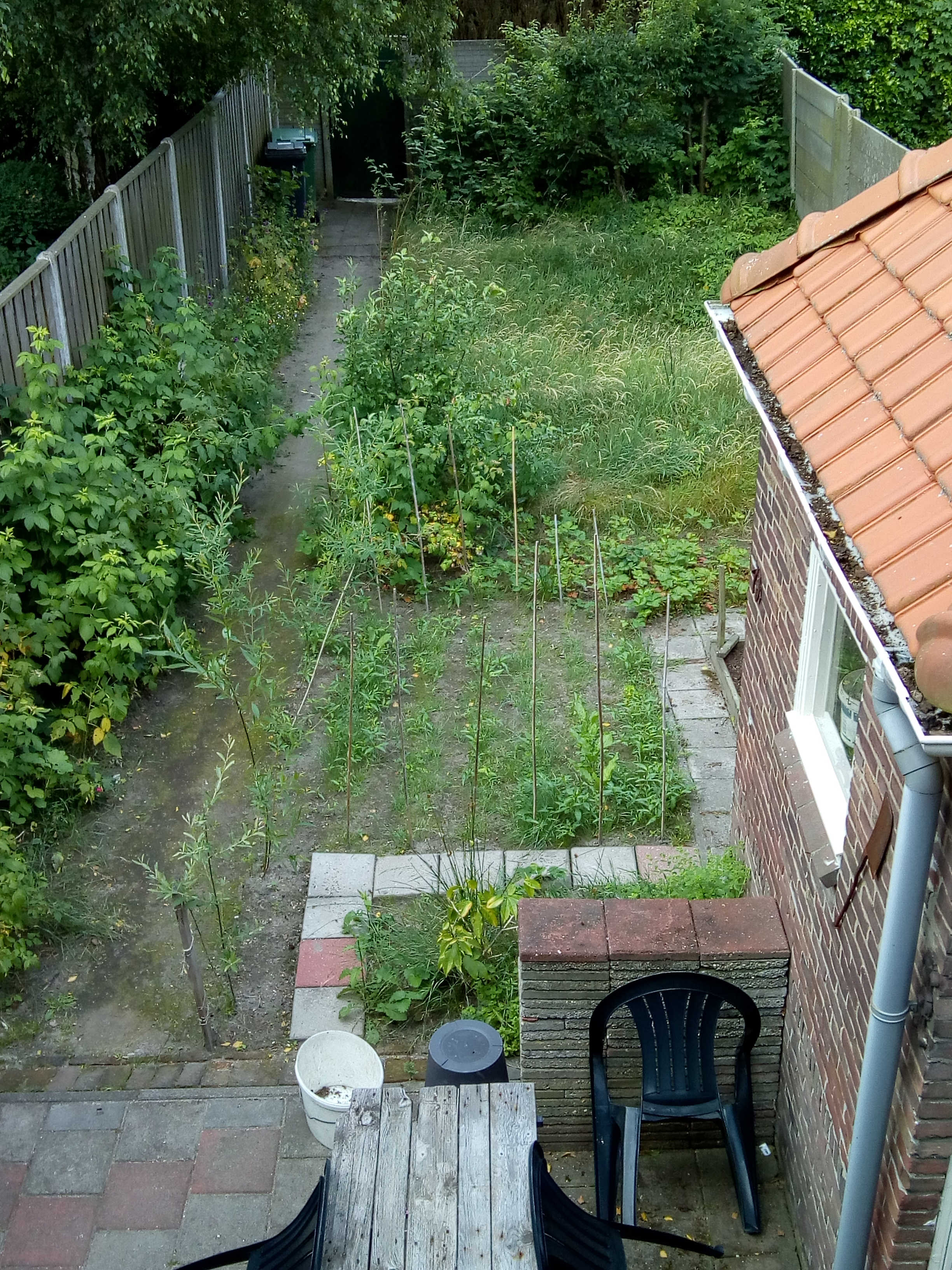 Garden in 2018